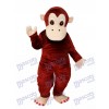 Gorilla Mascot Adult Costume