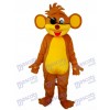 Pirate Monkey Mascot Adult Costume