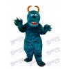 Dark Green Sulley Monsters Inc Mascot Adult Costume