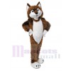 Wolf mascot costume