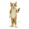 Cat mascot costume