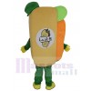 Sandwich mascot costume