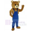 Bear mascot costume