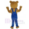 Bear mascot costume