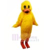 Puddles Duck Mascot Costumes Cartoon