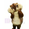Best Quality Squirrel Mascot Costumes 