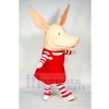 Pig in Red Dress Mascot Costumes Cartoon