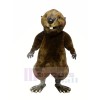 High Quality Otter  Mascot Costumes	