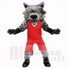 Sport Cat with Red Shirt Mascot Costumes School