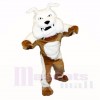 Greenstone Bulldog Mascot Costumes Adult