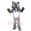 Grey Bulldog Mascot Costumes Adult