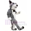 Cute Grey Dog Mascot Costumes