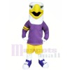 College Hawk Mascot Costumes