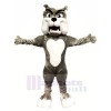 Quality Grey Bulldog Mascot Costumes Cartoon