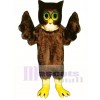 Cute Wise Owl Mascot Costume