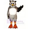 Cute Mr. Owl Mascot Costume