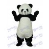 Panda Plush Mascot Adult Costumes