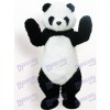Black And White Panda Animal Adult Mascot Funny Costume