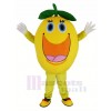 Cute Round Orange Mascot Costume