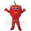 Cute Red Tomato with Smile Mascot Costume