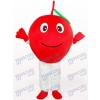 Red Apple With Single Leaf Fruit Adult Mascot Costume