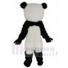 Panda mascot costume