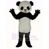 Cute Shorthair Panda Mascot Costume