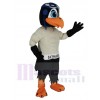 Skyhawk mascot costume