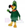 Toucan Bird mascot costume