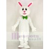 Funny Easter Bunny Rabbit Mascot Costume School 