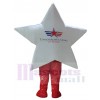 Star mascot costume