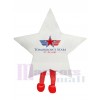 Star mascot costume