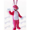 Easter Pink Rabbit Animal Adult Mascot Costume