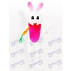 Carrot Easter Bunny Rabbit Animal Adult Mascot Costume