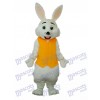 Easter Yellow Vest Rabbit Mascot Adult Costume