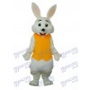 Easter Yellow Vest Rabbit Mascot Adult Costume