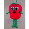 Strawberry mascot costume