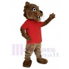 Cougar mascot costume
