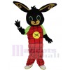 Easter Bunny Rabbit mascot costume