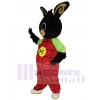 Easter Bunny Rabbit mascot costume