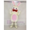 Rayman Raving Rabbit with Blue Eyes Mascot Costume Cartoon