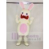 Rayman Raving Rabbit with Blue Eyes Mascot Costume Cartoon