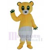 Bear mascot costume