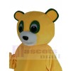 Bear mascot costume