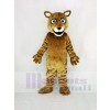 Cute Little Cougar Mascot Costume College