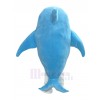 Shark mascot costume