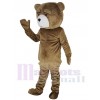 Teddy Bear mascot costume