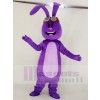Purple Bunny Rabbit with Long Ears Mascot Costume School 	