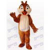 Squirrel Boy Animal Adult Mascot Funny Costume