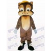 Lovely Squirrel Animal Adult Mascot Costume